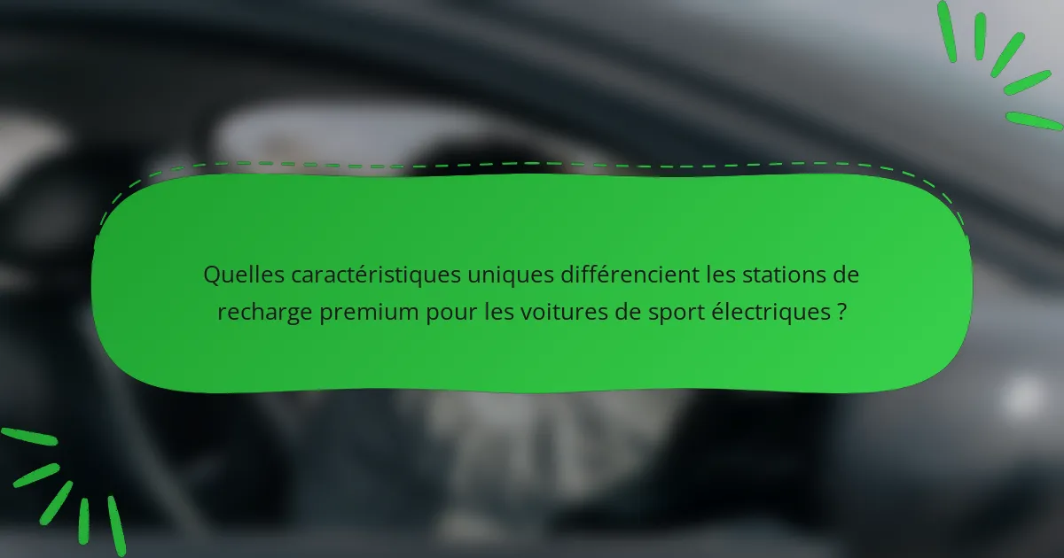 Quelles caractéristiques uniques différencient les stations de recharge premium pour les voitures de sport électriques ?
